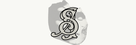 soulsignite.com